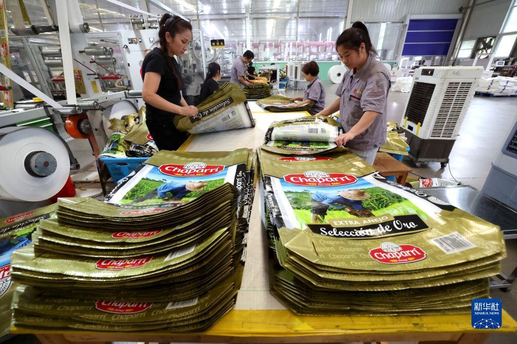 白菜注册验证手机号领